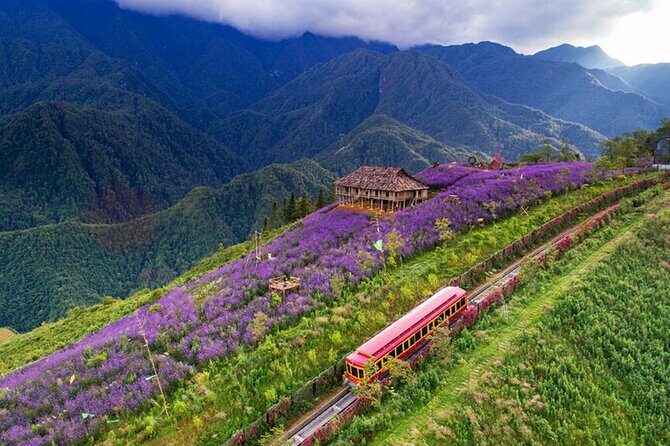 Best Sapa 3 Days 2 Nights with Fansipan Mountain - Stay at Hotel - Price & Overall Value