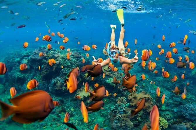 Best Snorkeling Trip at Blue Lagoon Bali - FAQ
