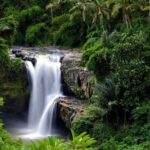 Best Waterfalls of Ubud - Practical Details and Experience Highlights