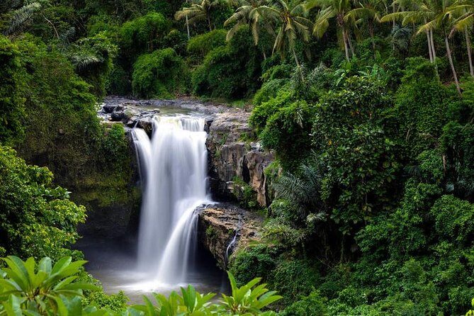 Best Waterfalls of Ubud - Practical Details and Experience Highlights