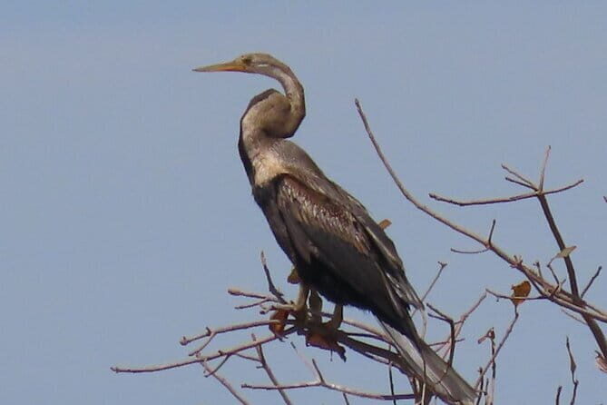 Beyond The Oudong Temple and Birdwatching in Phnom Penh - The Sum Up