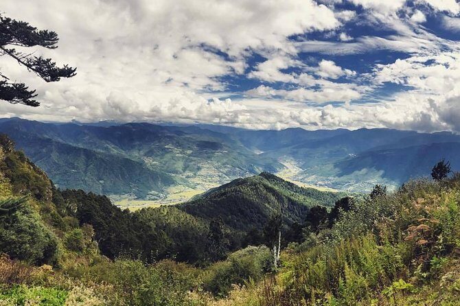 Bhutan Highlights Tour - 2 Nights (Thimphu, Paro & Tiger's Nest) - Who Is This Tour Best Suited For?