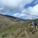 Bhutan Trekking Tour - Authentic Experiences and Insights