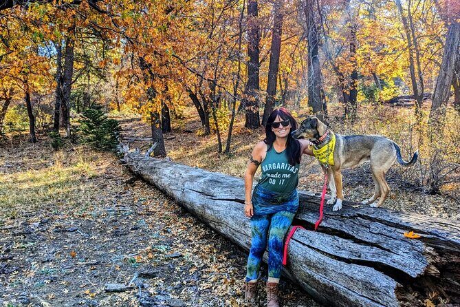Big Bear Fall Colors Hiking Tour in Southern California - In-Depth Look at the Itinerary