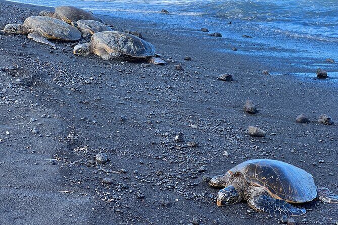 Big Island Tour of East to West - The Real Value: What Travelers Are Saying