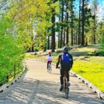 Bike Rental in South Lake Tahoe - The Trail Experience