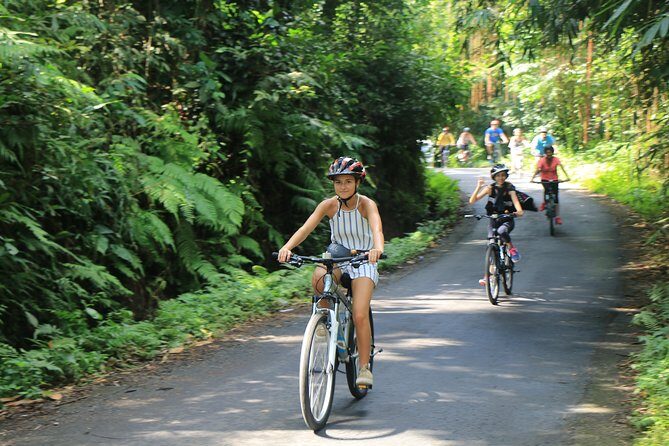 Bike ride in the rice fields, Bali countryside - Who Is This Tour Best For?