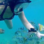 Bintan Snorkeling Tour - The Experience of the Guides and the Marine Environment