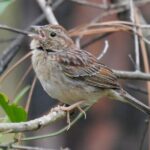 Birding and Wildlife Tour of Florida's Treasure Coast - Who Should Consider This Tour?