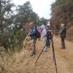 Birding Hike: Day Birdwatching in Kathmandu - What You Can Expect from the Experience