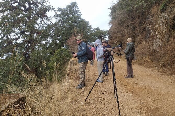 Birding Hike: Day Birdwatching in Kathmandu - What You Can Expect from the Experience
