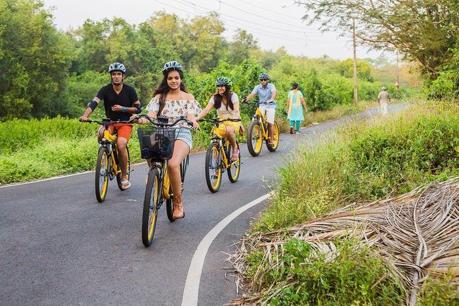 BLive Electric Bike Tours  Discovery of Divar Island - Final Thoughts: Who Is This Tour Perfect For?