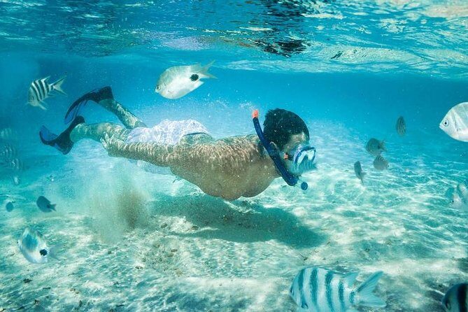 Blow Lagoon Bali Snorkeling and see Bali Bats Cave Temple - Analyzing the Value for Money