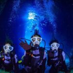 Blue cave experience diving [charter system / boat holding] | I am very satisfied with the beautiful facilities of the shop - Why This Tour Excels
