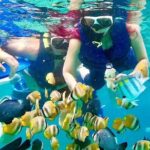 Blue lagoon and tanjung jepun snorkling all inclusive - Authentic Experiences Highlighted by Reviews