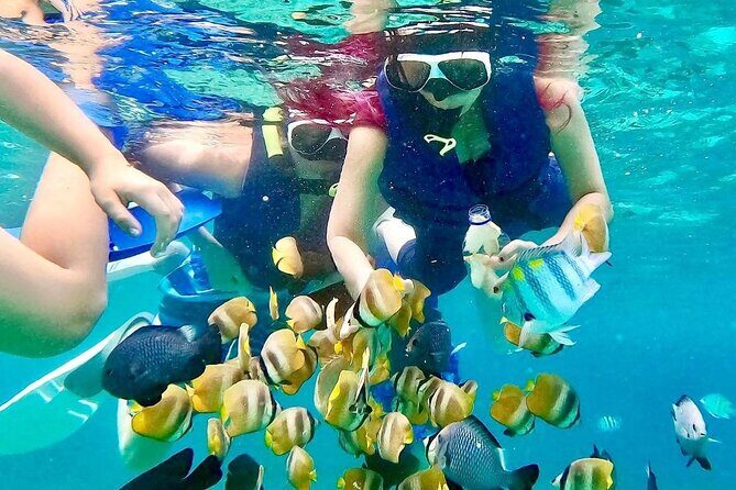 Blue lagoon and tanjung jepun snorkling all inclusive - Authentic Experiences Highlighted by Reviews