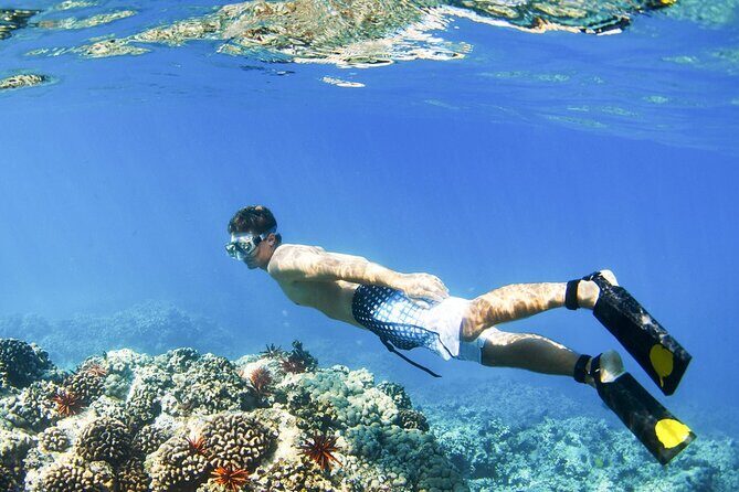 Blue Lagoon Snorkeling and Lunch - Ubud Monkey Forest - Waterfall - Why This Tour Works for Travelers