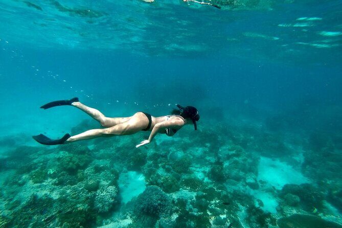 Blue Lagoon Snorkeling and Lunch with Tukad Cepung Waterfall - What’s Included and What’s Not