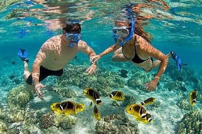 Blue Lagoon Snorkeling and Lunch with Visit Tegenungn Waterfall in Ubud - Frequently Asked Questions