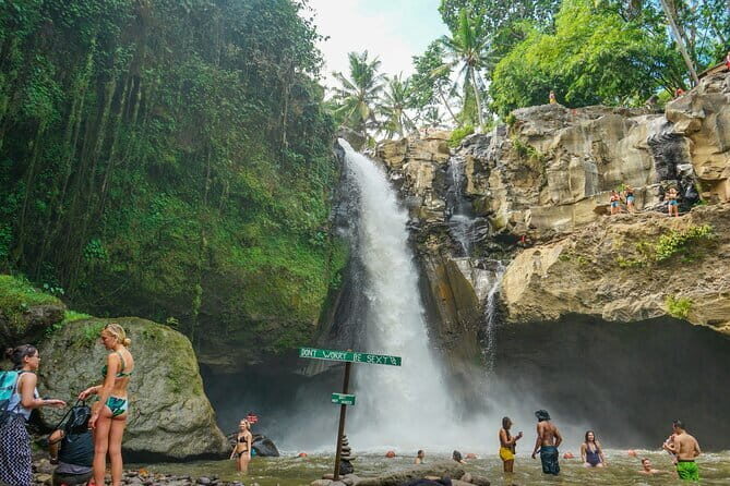 Blue Lagoon Snorkeling and Lunch with Visit Waterfall in Ubud - Who Should Consider Booking This Tour?