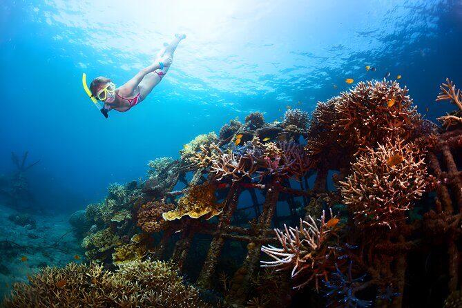 Blue Lagoon Snorkeling - Bali Best Snorkeling Site - What to Expect on the Day