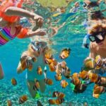 Blue Lagoon Snorkeling - Cave Waterfall - And More - All Included + FREE Wi-Fi - Final Thoughts