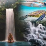 Blue Lagoon Snorkeling - Lunch - Kantolampo - Tibumana Waterfall - What Reviewers Love Most