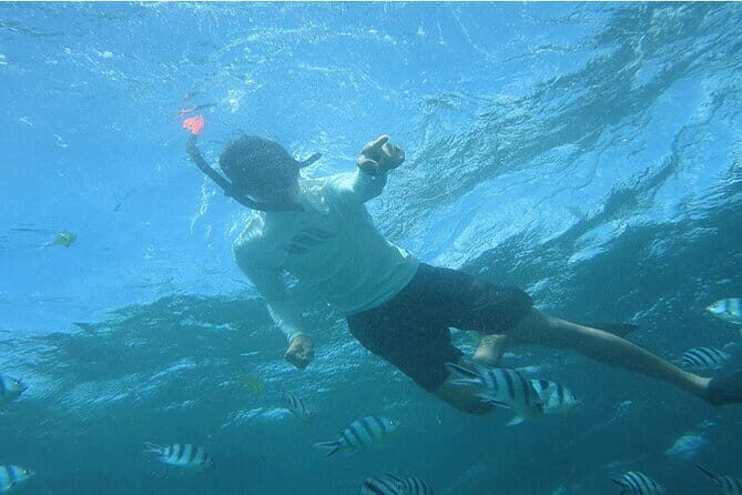 Blue Lagoon Snorkeling with Lunch and Private Transport - Why This Tour Is a Great Value