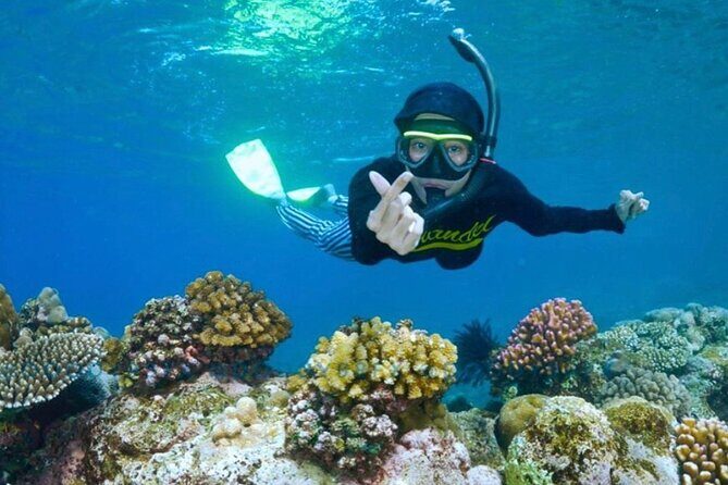 Blue Lagoon & Tanjung Jepun Snorkeling Private Tour - Why This Tour Offers Great Value