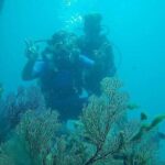 Boat Scuba Diving at Neil Island - Authentic Experiences From Past Travelers