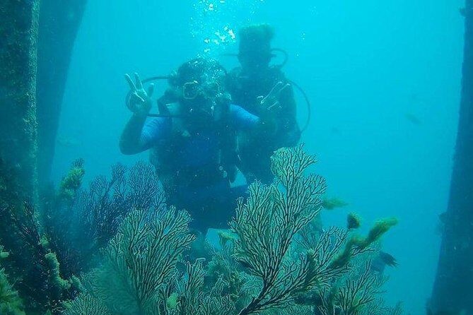 Boat Scuba Diving at Neil Island - Authentic Experiences From Past Travelers