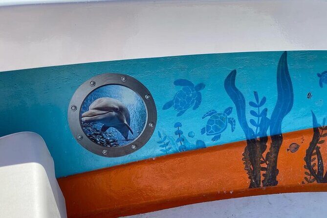Boat Tour Experience Sea Life Up Close - Frequently Asked Questions
