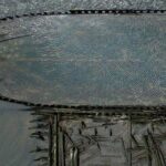 Boat Tour of Green Jacket Shoal - Final Thoughts: Who Will Love This Experience?