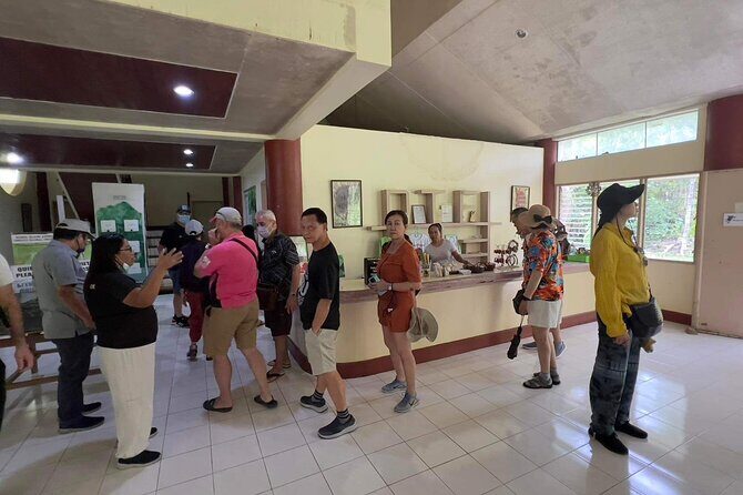 Bohol Day Tour with Round-Trip Transfers from Cebu - Price and Value