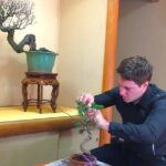 Bonsai Tour & Experience at the Most Sacred City for Bonsai in JP - FAQ