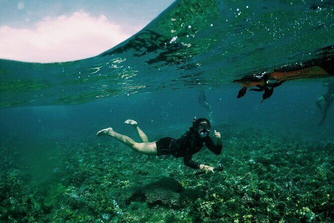 Boracay Snorkeling & Island Hopping tour - Who Will Love This Tour?