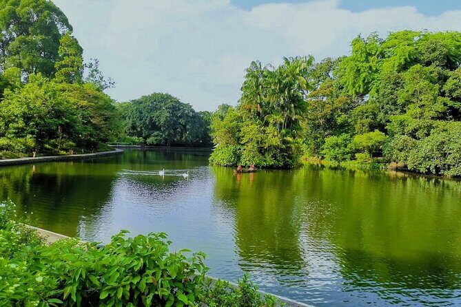 Botanic Gardens & Tiong Bahru Walking Tour with Breakfast - Authenticity and Guides