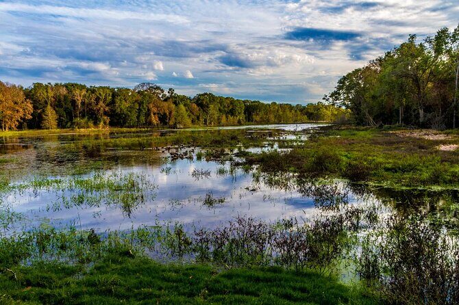 Brazos Bend Wildlife and Nature Tour - The Value for Travelers