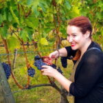 Brunello and Nobile, Wine Lover Tour Montalcino and Montepulciano - The Itinerary: What to Expect and Why It Matters