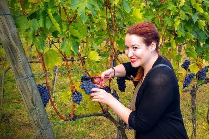 Brunello and Nobile, Wine Lover Tour Montalcino and Montepulciano - The Itinerary: What to Expect and Why It Matters