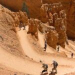 Bryce Canyon and Zion National Park Tour - What the Reviews Say