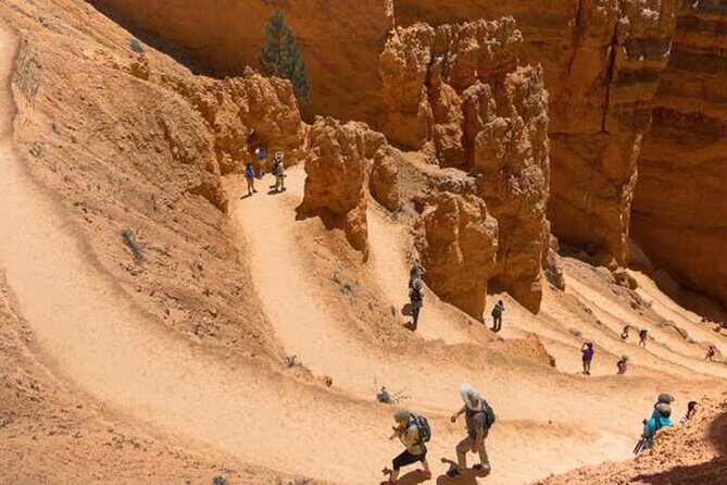 Bryce Canyon and Zion National Park Tour - What the Reviews Say