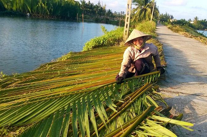 Buffalo riding and Basket Boat Half Day Tour - What Reviewers Say