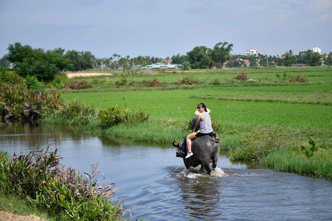 Buffalo Riding and basket boat tour from Da Nang/ Hoi An - The Itinerary in Detail