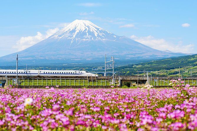 Bullet Train and Mt. Fuji Famous Food Tour - What the Reviews Say