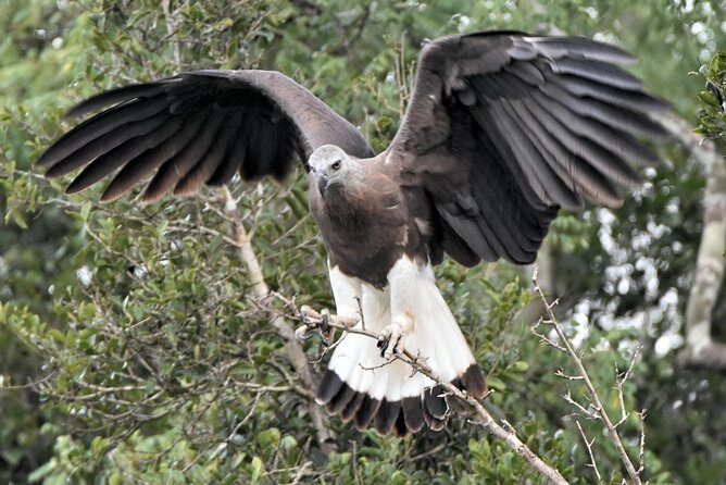Bundala Birding Paradise - All Inclusive Tour - The Sum Up