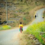 Bus from Hanoi to Ha Giang & Bus Ha Giang to Hanoi - All Inclusive - Why This Bus Service Works for Travelers