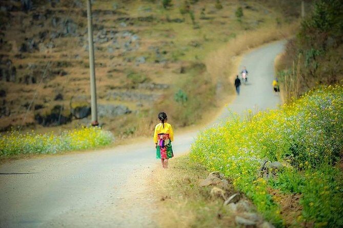 Bus from Hanoi to Ha Giang & Bus Ha Giang to Hanoi - All Inclusive - Why This Bus Service Works for Travelers