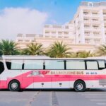 Bus Ha Noi to Cat Ba island - Who Should Consider This Transfer?