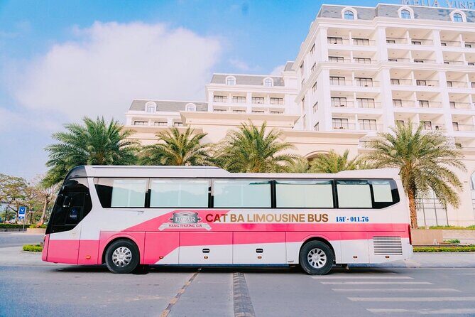 Bus Ha Noi to Cat Ba island - Who Should Consider This Transfer?